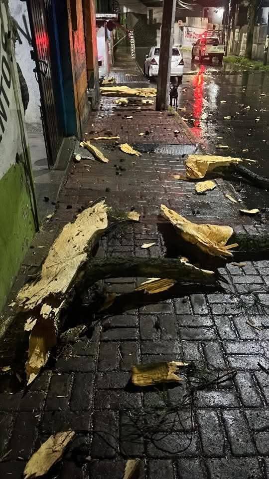 ContrerenseOrg's tweet photo. Está madrugada cayó un rayo en este predio sobre la calle Soledad, en San Nicolás Totolapan, autoridades y protección civil atendieron la emergencia. Magdalena Contreras

#MagdalenaContreras
#Contreras https://t.co/fr4z0YNZAp