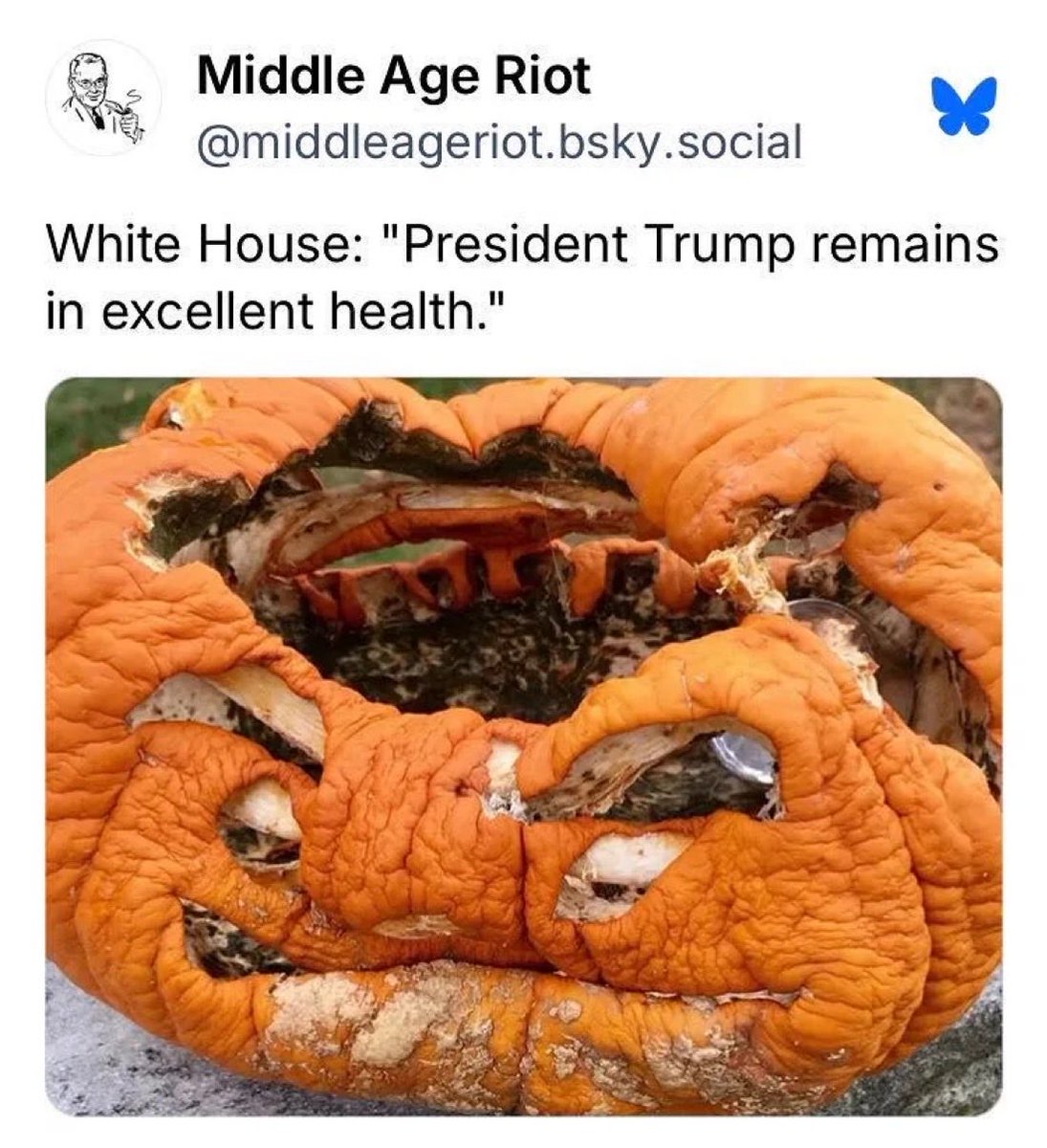 YallNuckingFuts tweet media