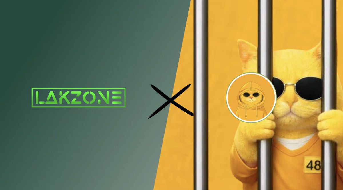 LAKZONE tweet media