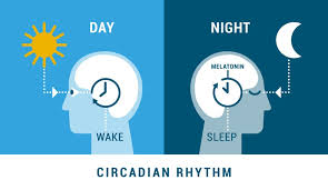 brandonferdig's tweet photo. Why would we take sun from the most productive hours of the day and give it to those spent in leisure?
Why would we choose a clock setting overall worse for people's health and safety?

Standard Time is standard.
Daylight Savings Time can be enjoyable, but it comes at a big cost. https://t.co/ALci9e413O