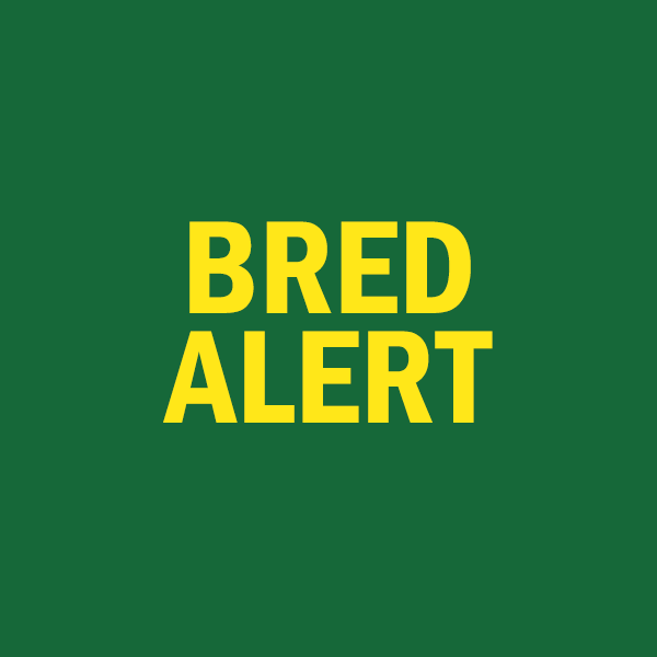 KyStateU's tweet photo. Campus Safety Notice: Main Campus Closed Immediately

Kentucky State University is closing its main campus immediately based on recommendations from local law enforcement regarding a potential threat to campus safety. https://t.co/mbjTEvUerW