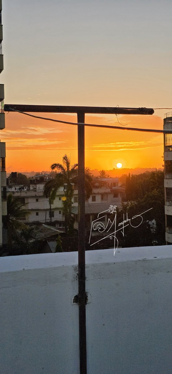 sheikhmargub's tweet photo. Different corners of the same rooftop. Same sunset… different moods.
Good evening from Mombasa 🌅🇰🇪 https://t.co/hZAYRF4JEv