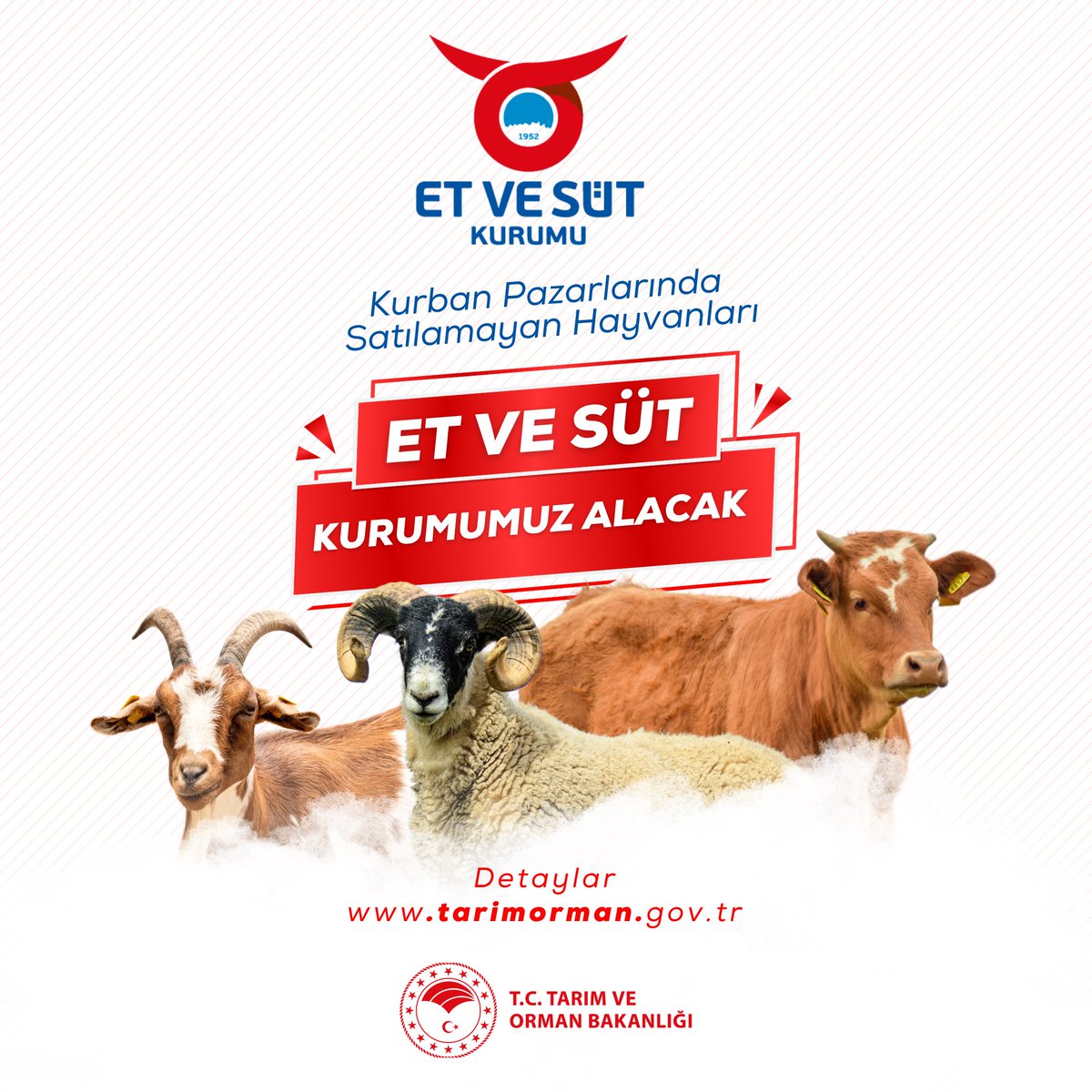 TCTarim's tweet photo. 🐄🐑 Üreticilerimiz tarafından hayvan pazarlarına getirilen ancak satılamayan kurbanlıklar üreticilerimizin talep etmesi halinde Et ve Süt Kurumumuz tarafından satın alınacaktır.

🔗 Detaylar: https://t.co/oN0fb7ouX4 https://t.co/ps0AAE6Sww