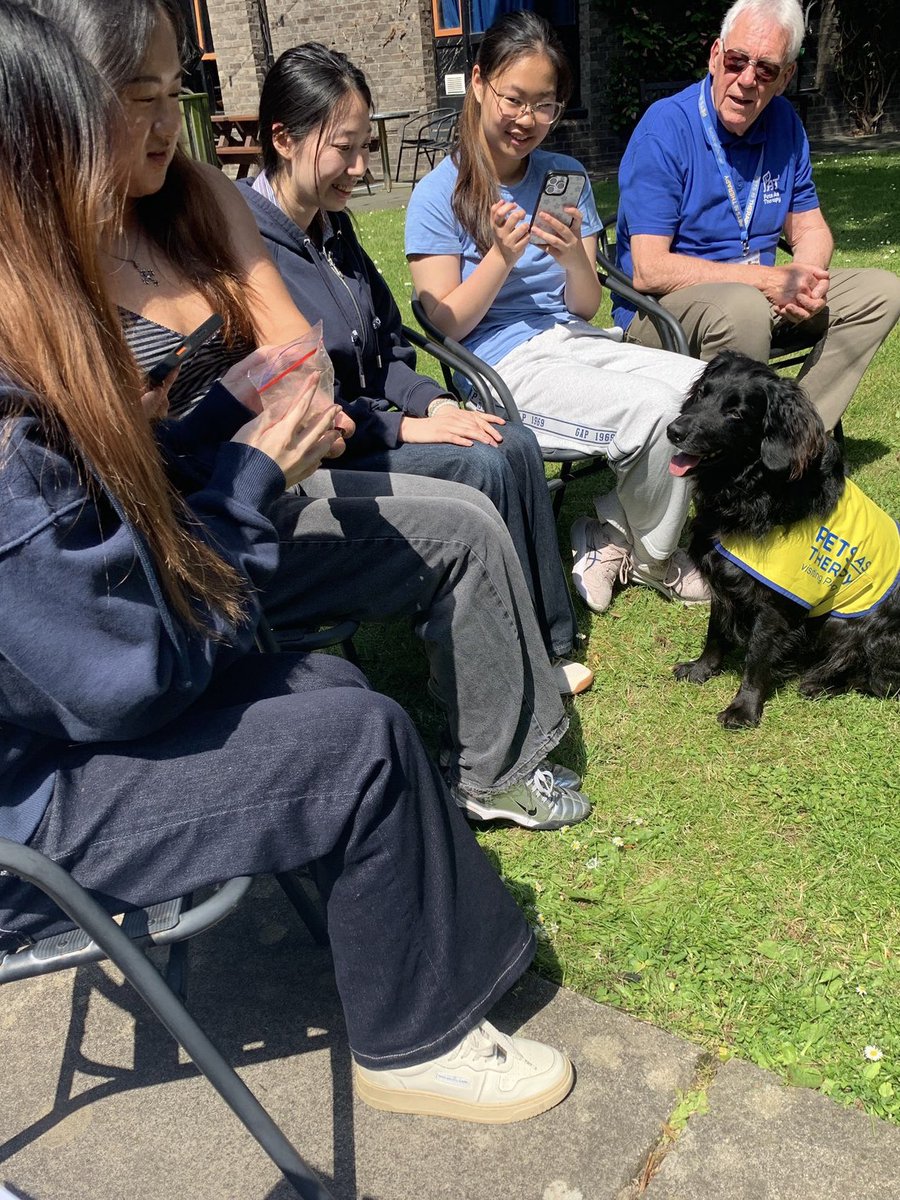 trevscollege's tweet photo. Fantastic to welcome Barney from Pets as Therapy back to @trevscollege today for our second dog wellbeing session! Thanks to everyone who joined us #TrevelyanCollege #explore #wellbeing https://t.co/dFwXUrJ2LU