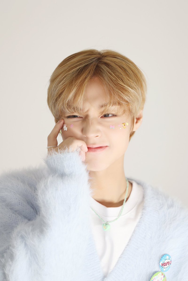 메이도어 tweet media