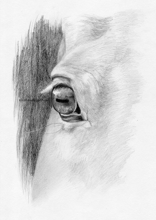 KJL90's tweet photo. Art of the Day! "Perception". Buy at: https://t.co/wuVBsZ5xr1 https://t.co/0A4mZcq5z4