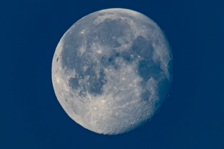 Yelm_Blogger's tweet photo. A rare Blue Micromoon will be visible early Sunday morning! https://t.co/9z9ZbkGVOd https://t.co/0sj8l0NSyW