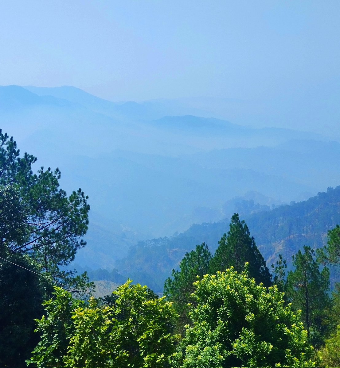 srishtiest's tweet photo. lansdowne. https://t.co/8dXPp1swJP