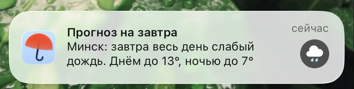 biarnky's tweet photo. Вот эти вот уведомления о погоде читаю на манер Форрест Гампа https://t.co/56CW0XsKjn