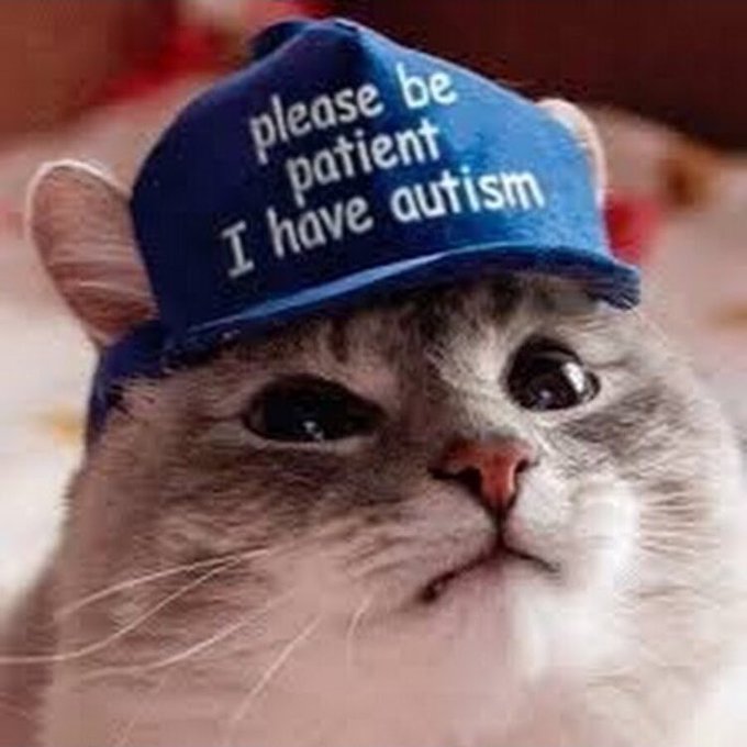 RealStockCats's tweet photo. @dapstats @AutismCapital https://t.co/zKAtwmx3Lz