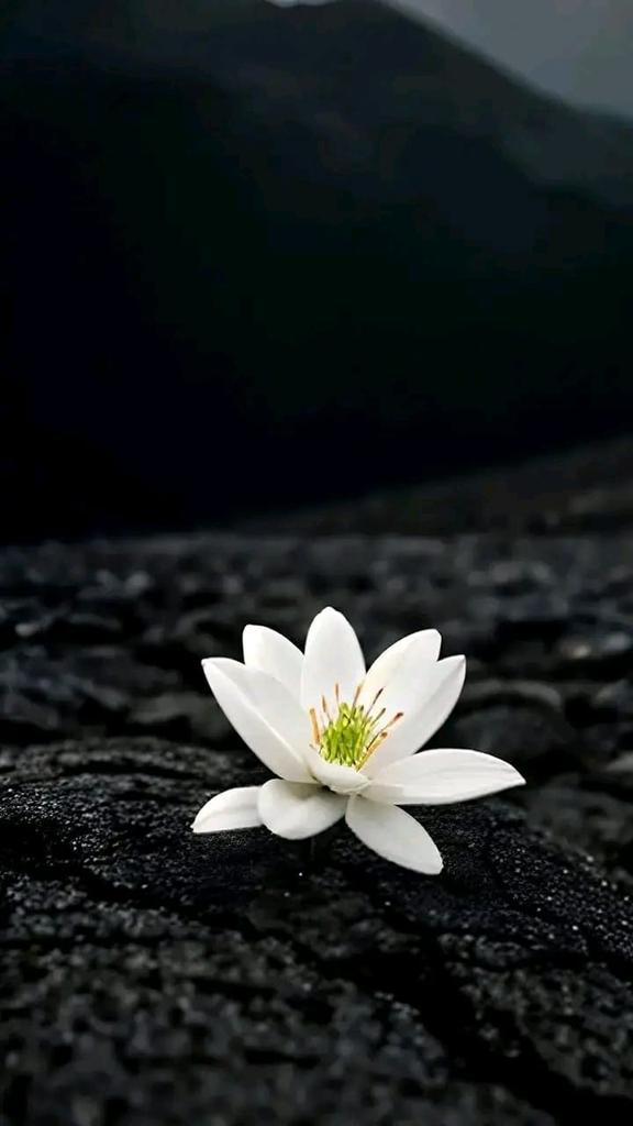 HumiraJina80's tweet photo. 'পরের জন্মে আমার হইয়ো?’💔 https://t.co/pvabvF1IMg