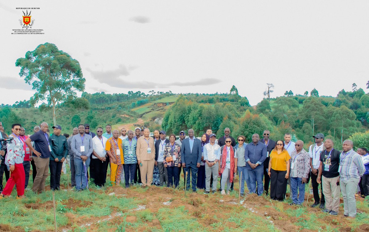 MAEBurundi's tweet photo. Dans le cadre de la 61ᵉ réunion du Comité consultatif permanent des Nations Unies chargé des questions de sécurité en Afrique centrale, qui se tient à Bujumbura du 25 au 29 mai 2026, les travaux des experts ont été marqués, ce 28 mai 2026, par une excursion ponctuée d’une activité symbolique de plantation d’arbres sur la colline Kibogoye-Muremera, située en zone Bugarama, commune Muramvya, province Gitega. Ces arbres ont été plantés par les délégués des pays membres de la CEEAC.@Edbiziman @Sonitu6 @NtareHouse @KwaNtare @BurundiGov @nshingamateka @Burundi_senat @RTNBurundi @_AfricanUnion
@CEEAC_ECCAS @UNOCA_NEWS
#UNSAC61