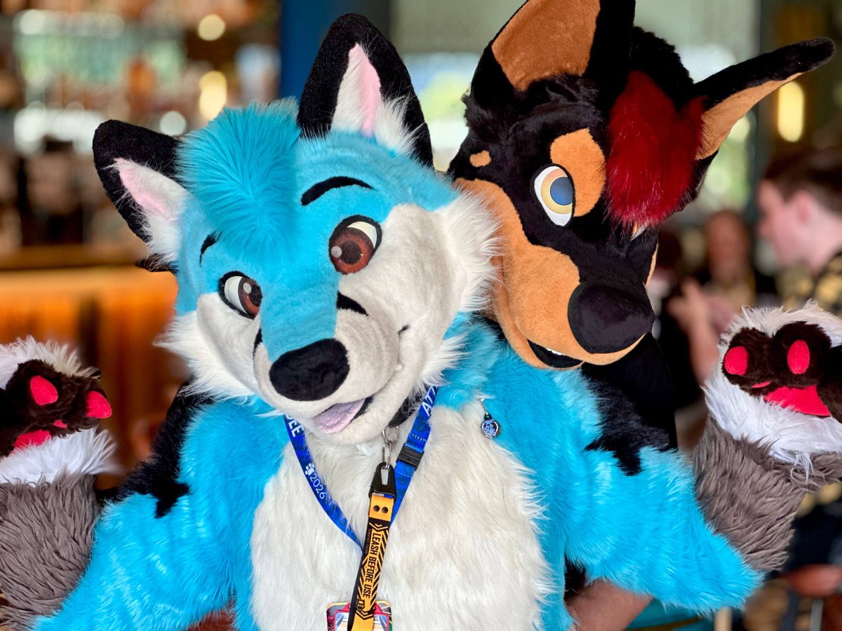 Giz_alicious's tweet photo. Cfz highlight was having a birthday / anniversary surprise from @ThePocketyFox 

18 years together!!! ❤️ https://t.co/8APxdXgdab