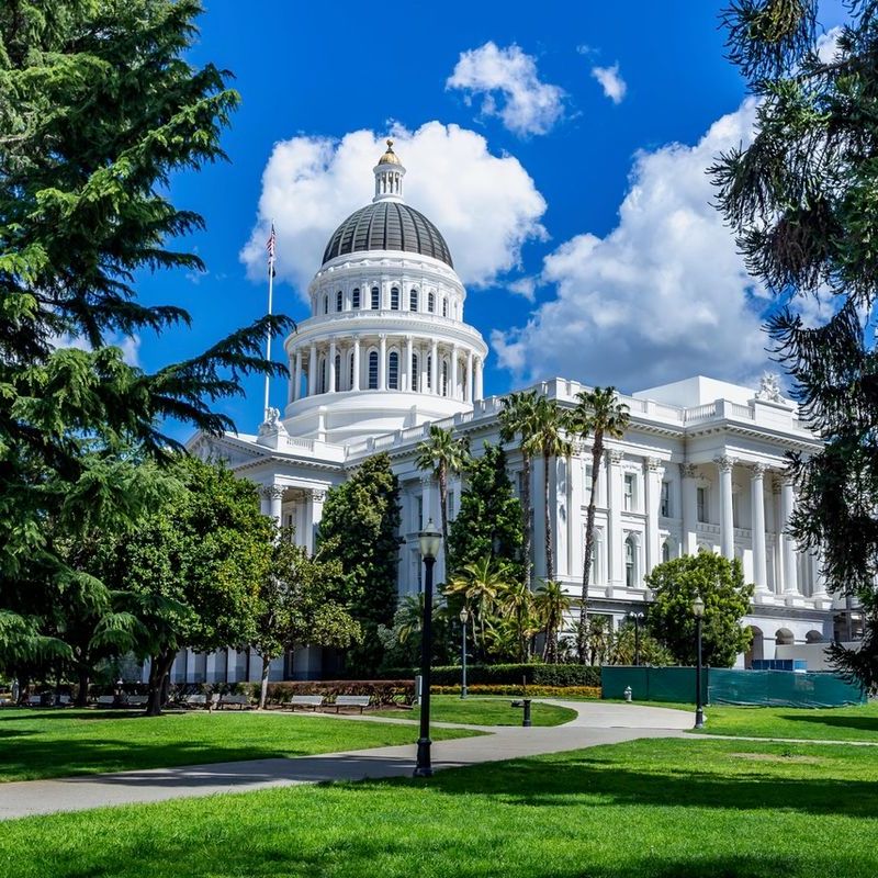 Sacramento OBSERVER tweet media