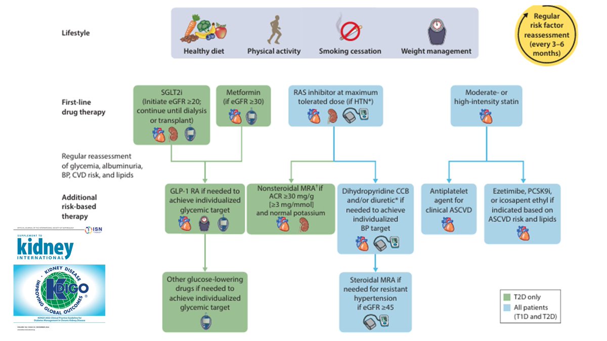 edgarvlermamd's tweet photo. Holistic approach for improving outcomes in patients with diabetes and chronic kidney disease (CKD) ca. 2022 from @goKDIGO
#Nephpearls #ECNeph

https://t.co/ka7hU7mBp8 https://t.co/nkaD5WzTNm