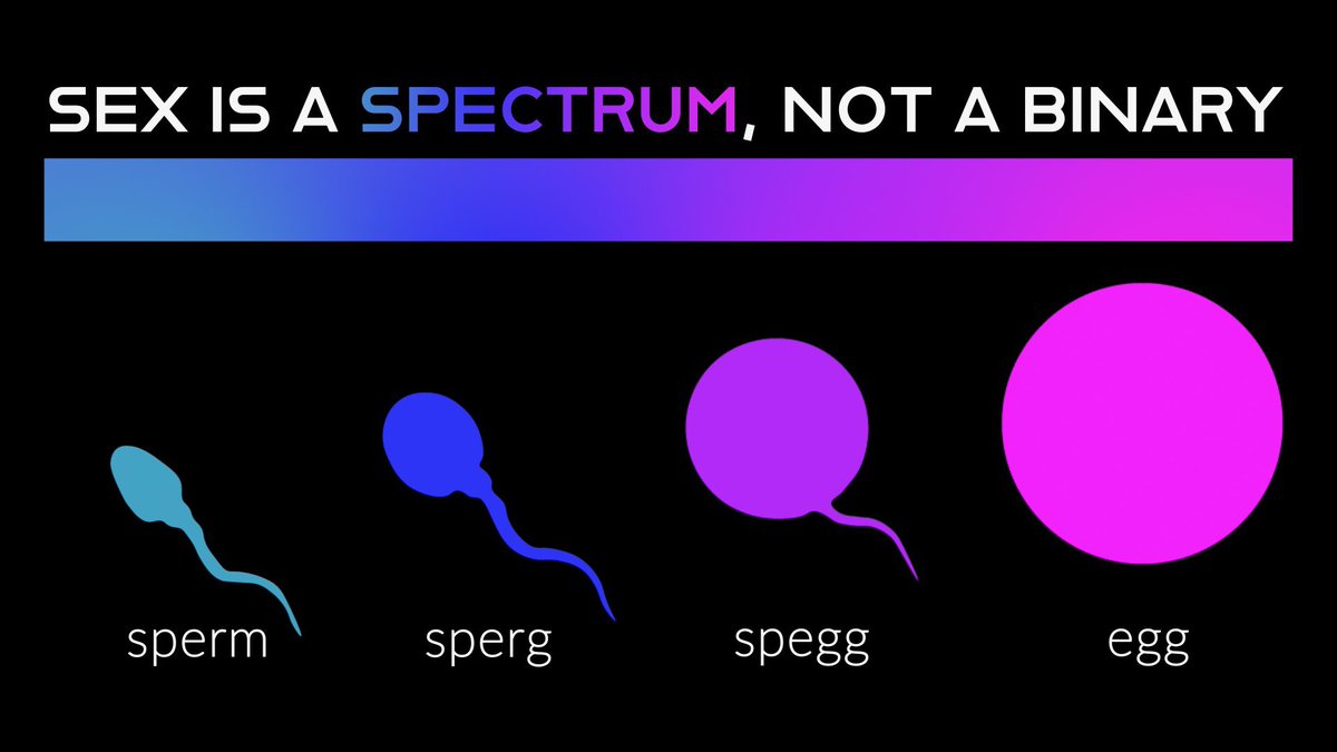 zaelefty's tweet photo. BREAKING 🚨 Gender scientists have discovered a gamete spectrum while attempting to transition sperm and egg cells into intermediate forms using spells from Judith Butler’s book, “Gender Trouble.”

Introducing the Sperg and Spegg. https://t.co/xgEr73JWNl
