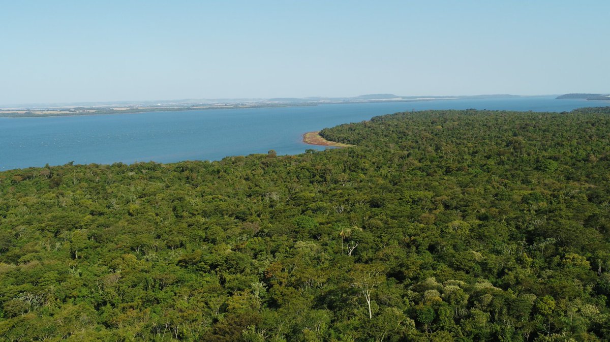 ITAIPU Binacional Py tweet media