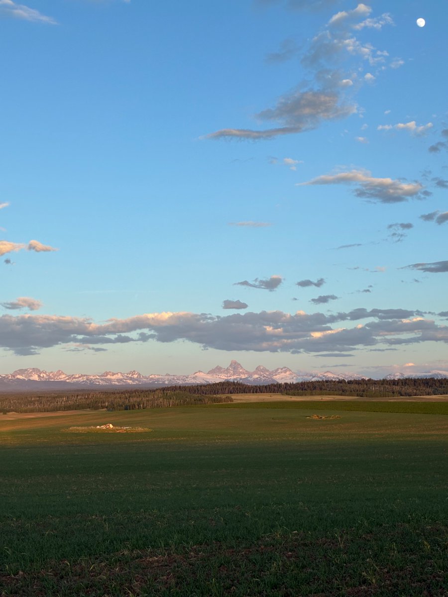 DBFarthing's tweet photo. Wyoming, Idaho, and Montana for the week. Grand Tetons are aptly named. 

#travel #jacksonhole https://t.co/cEo1NmFDLw