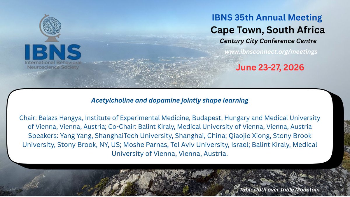 IBNSconnect's tweet photo. Better together #IBNSSouthAfrica https://t.co/sICvWYOe4F