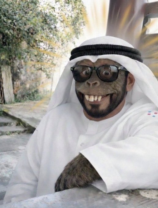 .مطنوخ tweet media