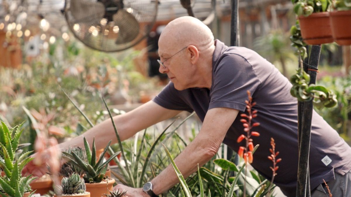VisionTV's tweet photo. A brand new season of Visionary Gardeners brings us a remarkable group of innovative Canadian gardeners, all with their unique perspectives and creations in the garden. Read more about the upcoming season: https://t.co/9B7H5aiYps

Watch Season 3 of Visionary Gardeners starting June 8 at 9pm ET.