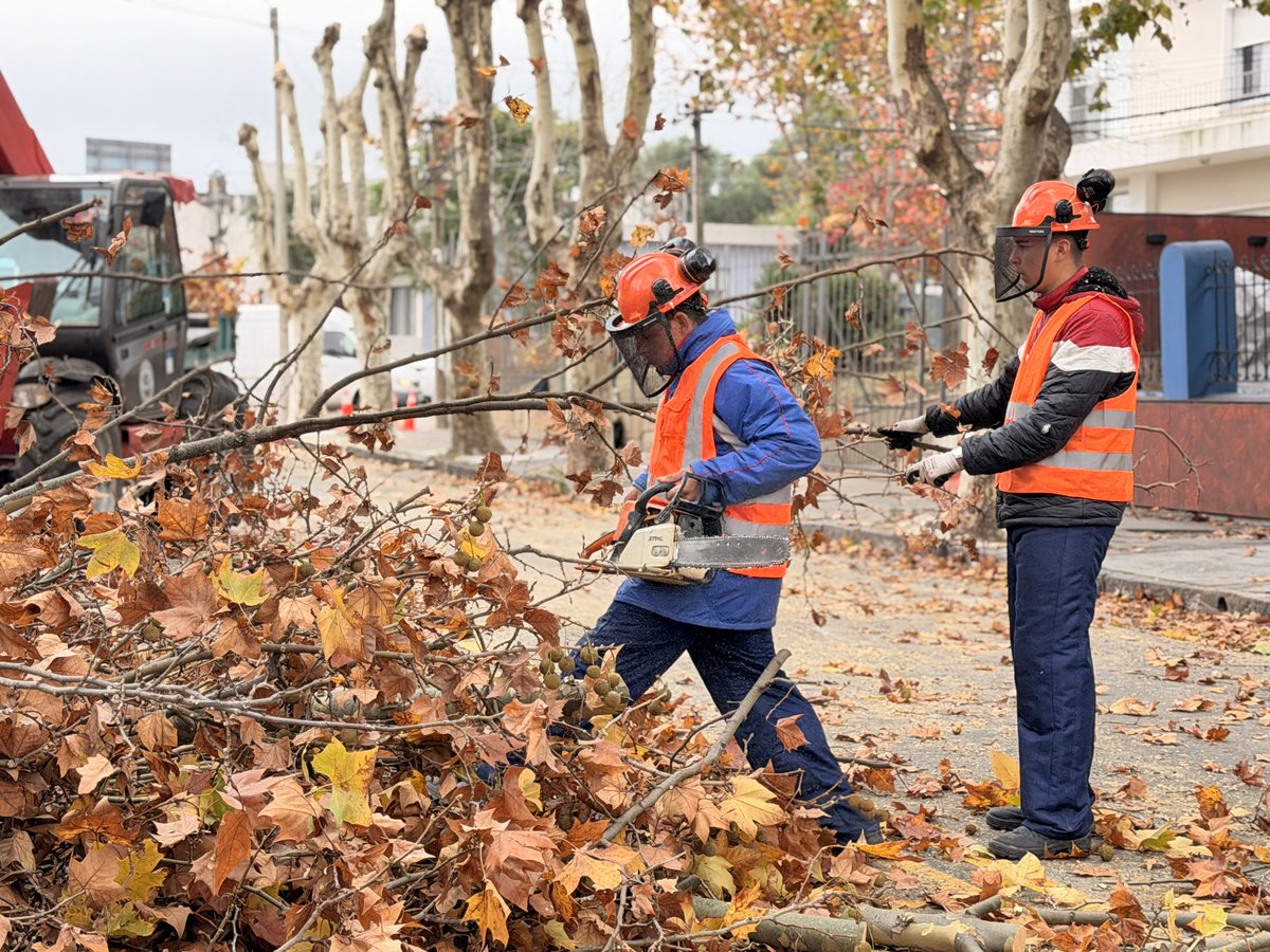 IntColonia's tweet photo. El Intendente de Colonia, Guillermo A. Rodríguez, estuvo visitando y recorriendo los trabajos de poda que se están llevando a cabo en la ciudad de Colonia del Sacramento.
#intendenciadecolonia https://t.co/8SQcQ7Q7Gn
