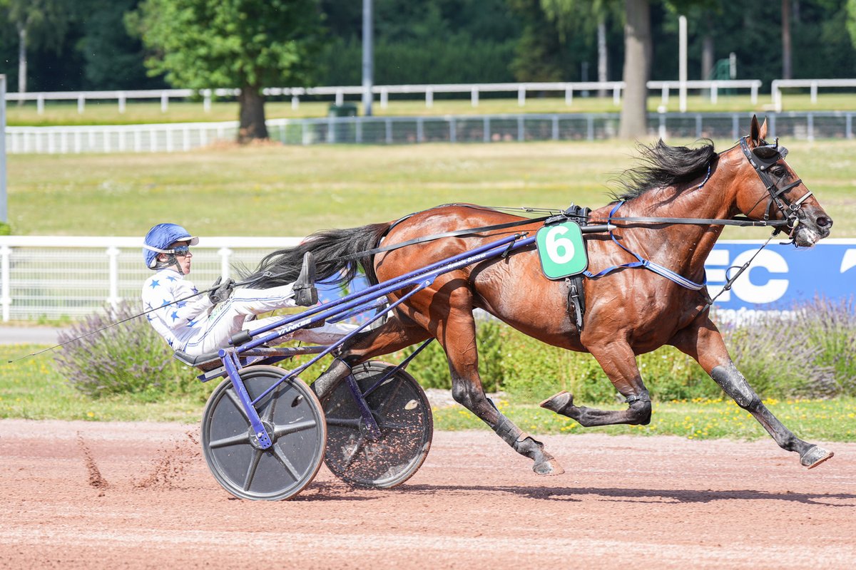 canalturf's tweet photo. 🏆Elitloppet 2026 dimanche 31/05 
🇸🇪 Solvalla, nos français arrivent ! 
▶️https://t.co/kHl7DsGpR9 @Solvalla @SolvallaAndelar #pronostics #pmu #Elitloppet2026