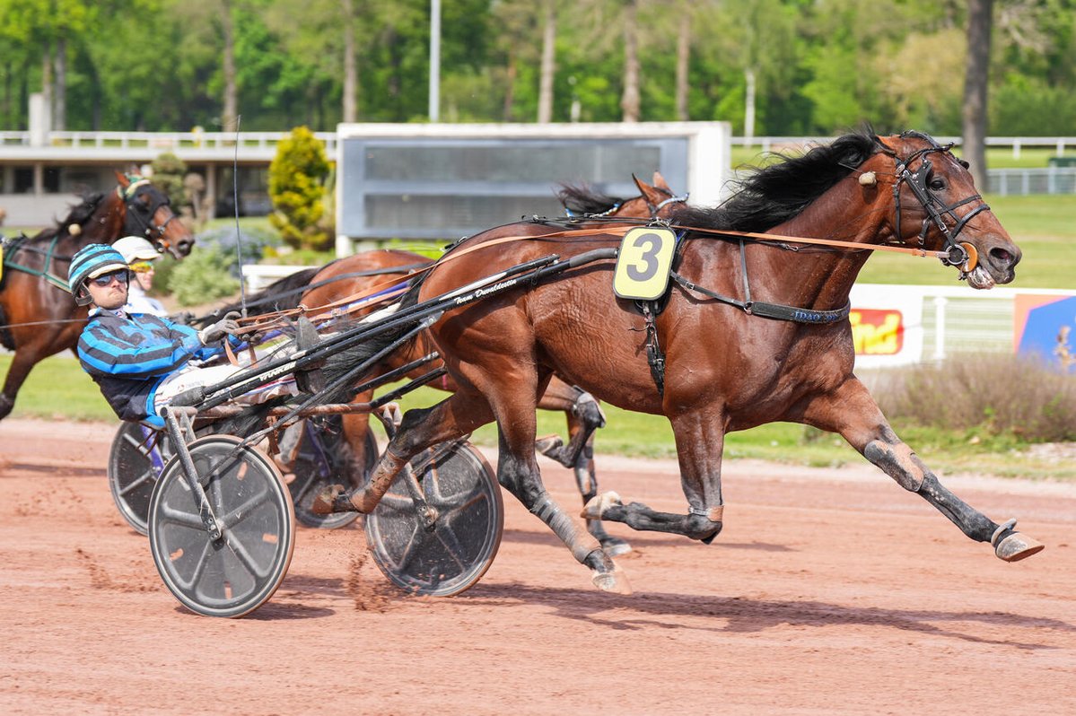 canalturf's tweet photo. 🏆Elitloppet 2026 dimanche 31/05 
🇸🇪 Solvalla, nos français arrivent ! 
▶️https://t.co/kHl7DsGpR9 @Solvalla @SolvallaAndelar #pronostics #pmu #Elitloppet2026