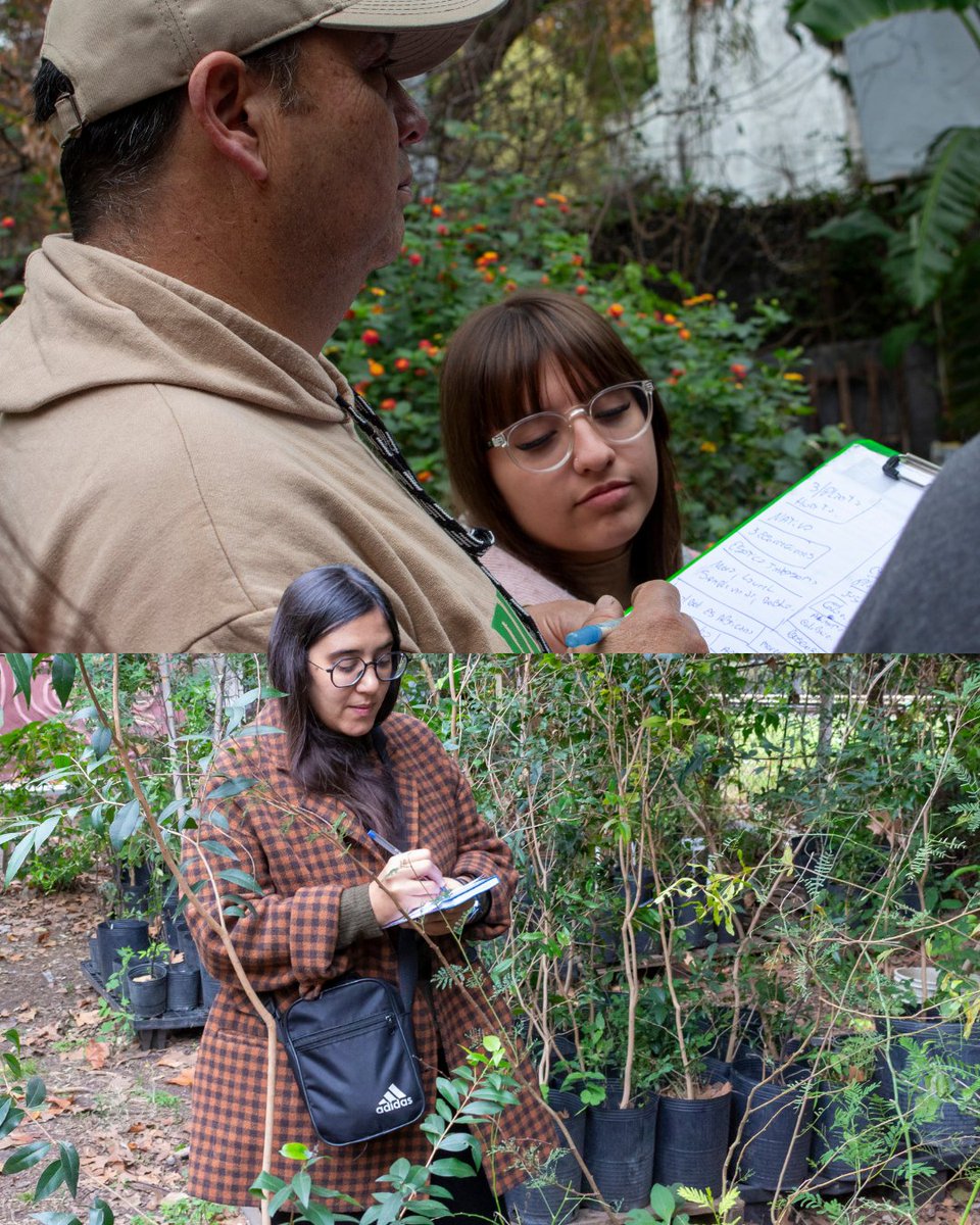 ExtensionUNSAM's tweet photo. 🌿 Estudiantes de FinEs y terminalidad primaria participaron de una visita guiada al Bosque Urbano.

Una jornada de aprendizaje, ambiente e intercambio para conocer más sobre las plantas nativas y el territorio 💚 https://t.co/AUEqSvnlGC
