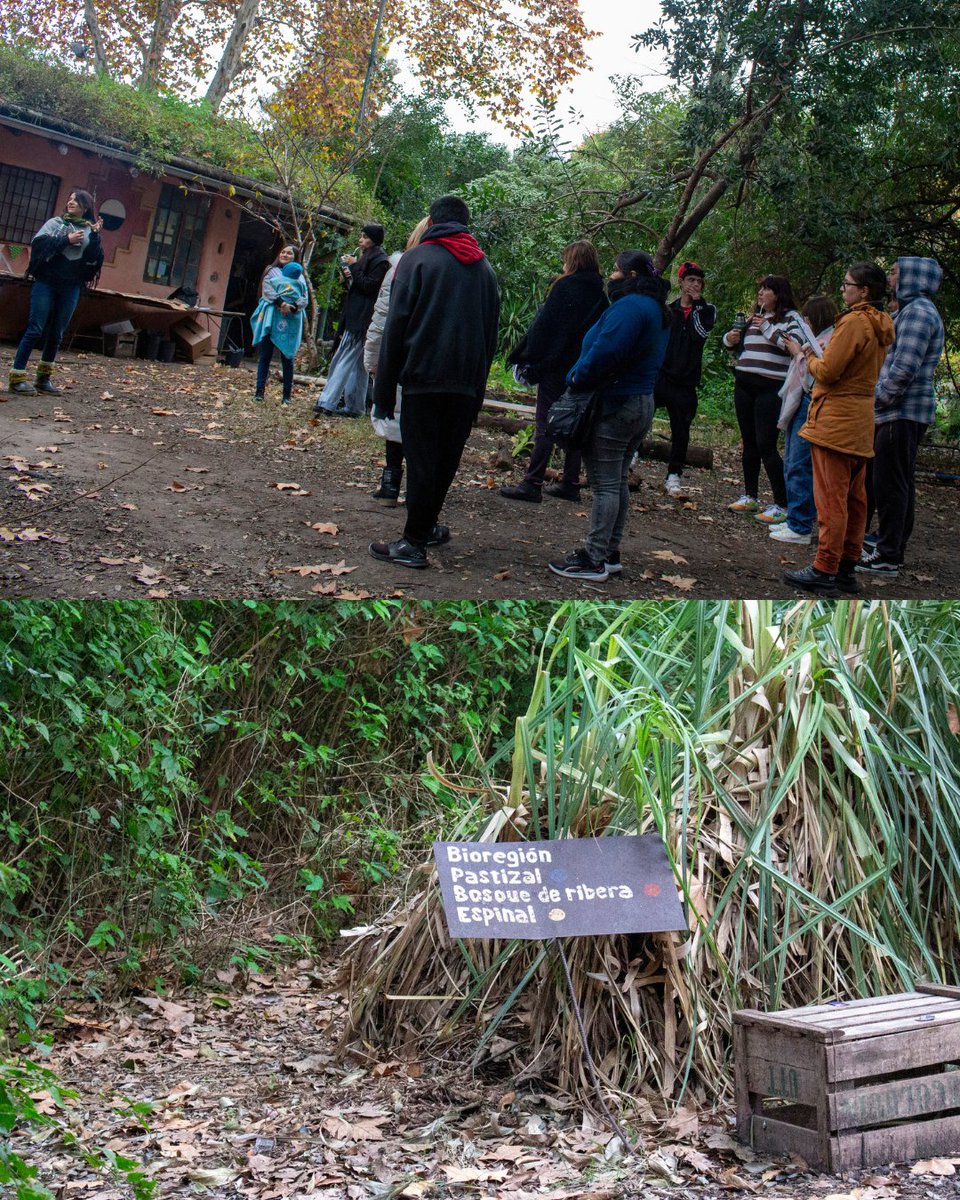 ExtensionUNSAM's tweet photo. 🌿 Estudiantes de FinEs y terminalidad primaria participaron de una visita guiada al Bosque Urbano.

Una jornada de aprendizaje, ambiente e intercambio para conocer más sobre las plantas nativas y el territorio 💚 https://t.co/AUEqSvnlGC