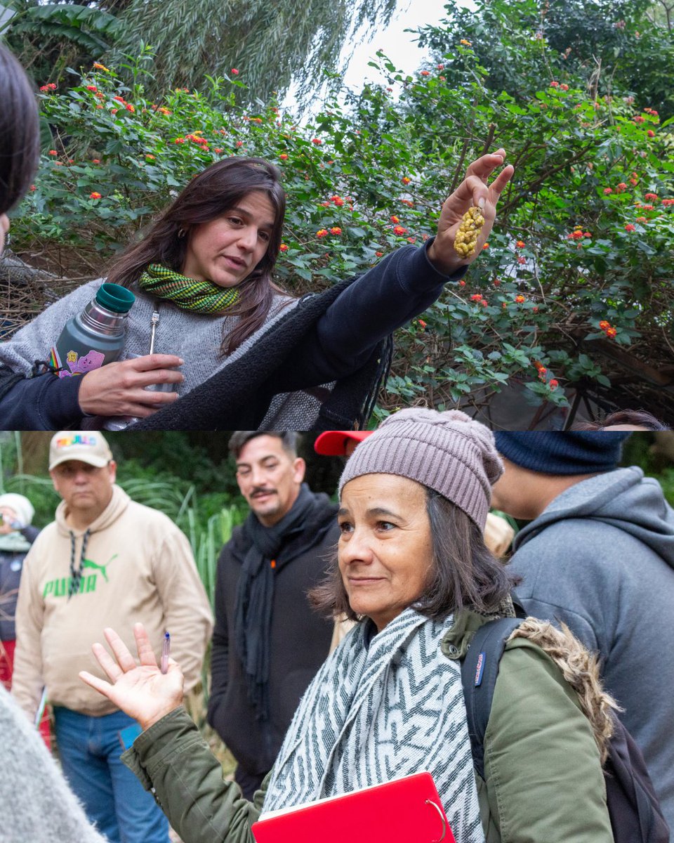 ExtensionUNSAM's tweet photo. 🌿 Estudiantes de FinEs y terminalidad primaria participaron de una visita guiada al Bosque Urbano.

Una jornada de aprendizaje, ambiente e intercambio para conocer más sobre las plantas nativas y el territorio 💚 https://t.co/AUEqSvnlGC