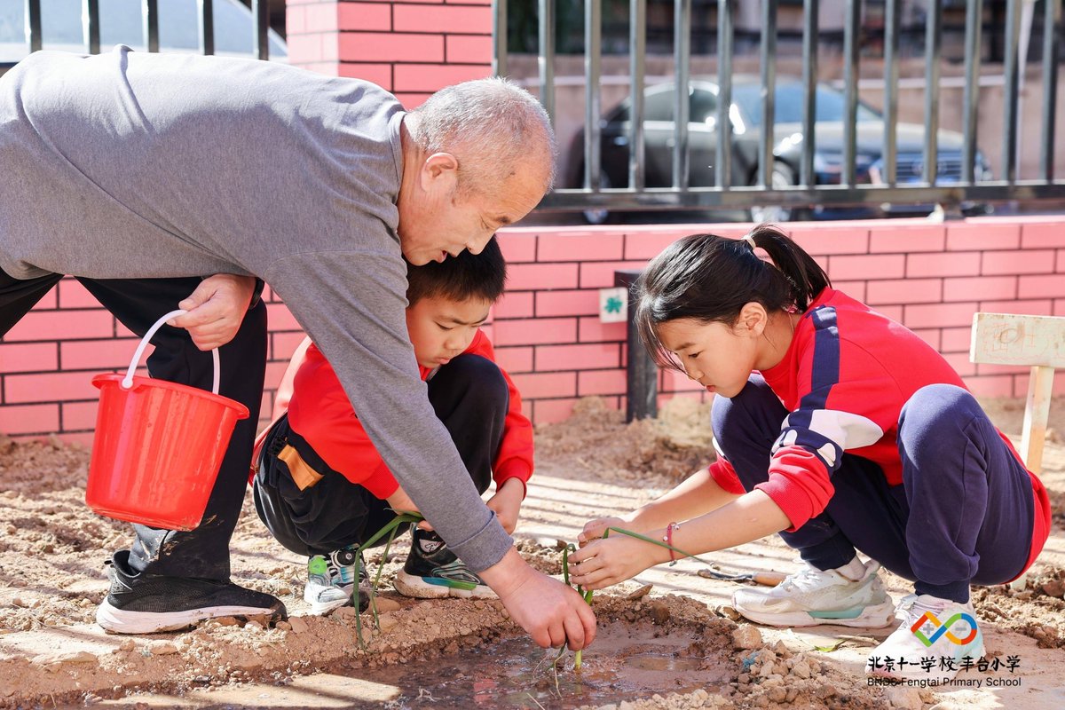 issam_24's tweet photo. Just wrapped up 2 days of community garden volunteer work! We planted 50+ vegetable seedlings and taught local kids how to care for small plants. Seeing their excited faces made all the early mornings worth it.  #VolunteerLife #CommunityLove https://t.co/vkp3kceZ0G