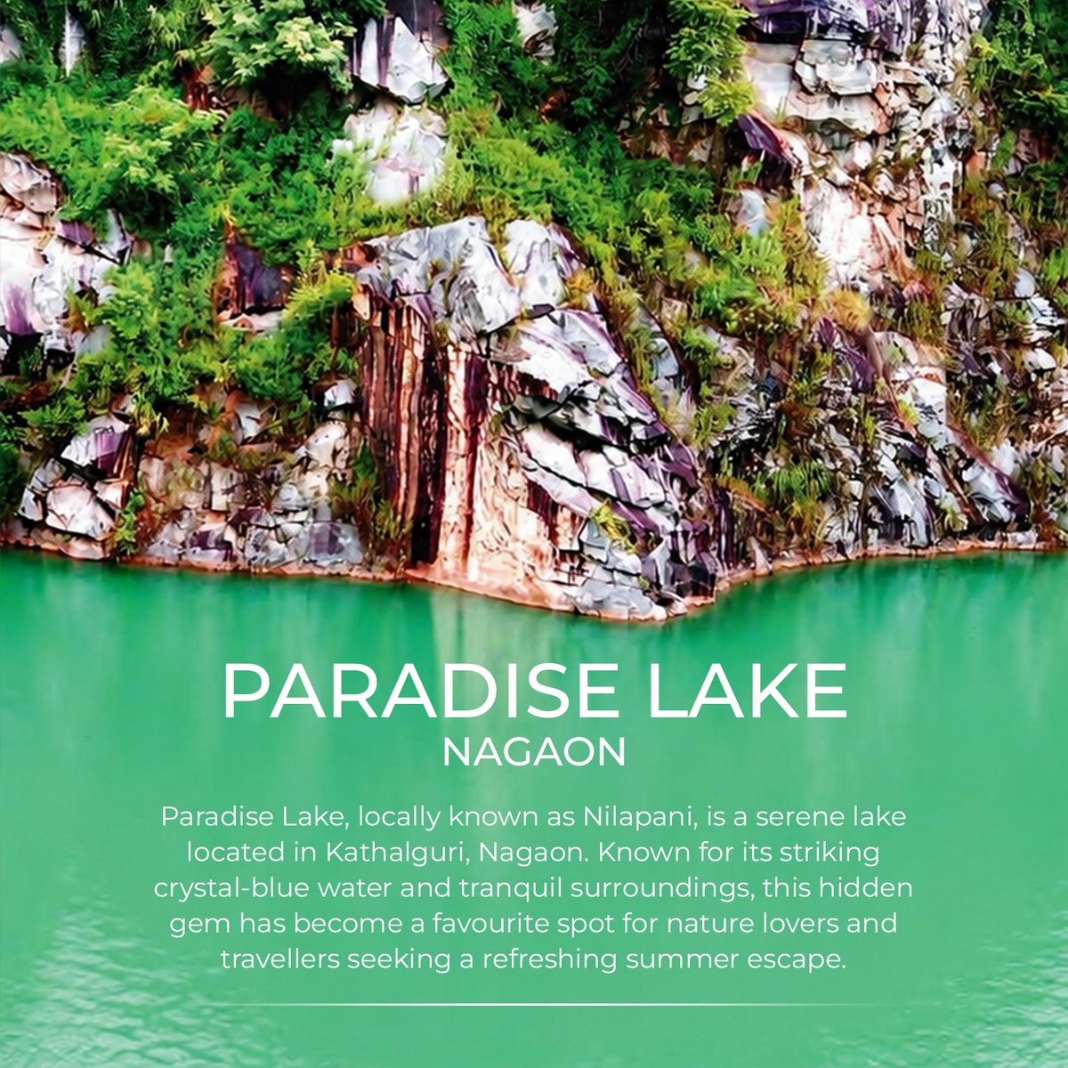 aweassam's tweet photo. Nilapani offers the perfect setting to unwind in the lap of nature. Whether visiting with friends, fellow wanderers or family, the peaceful ambience and scenic beauty make the experience truly memorable.
#AwesomeAssam
#ParadiseLake
#AwesomeAssam
@CMOfficeAssam
@himantabiswa
@AjantaNeog