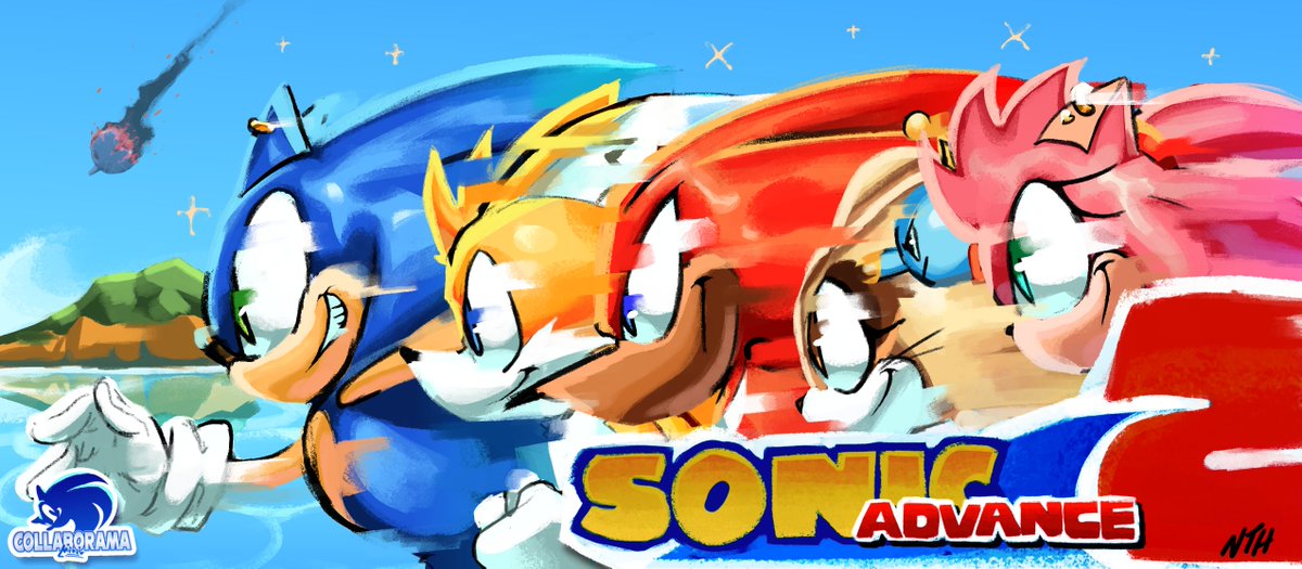Ninja Te Hedgehog tweet media