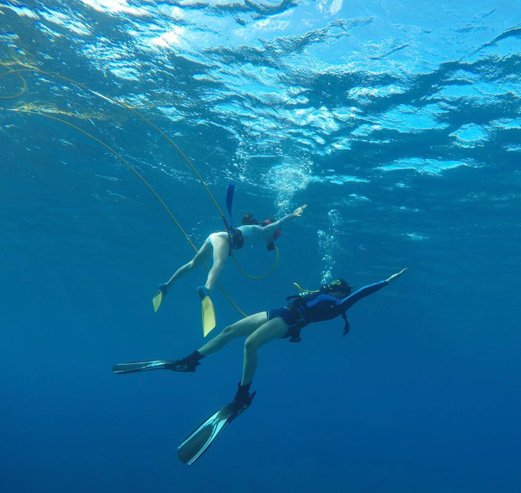 _SNUBA's tweet photo. 🤿🌊 When you SNUBA®, you’re never exploring alone.

Every SNUBA® adventure is led by a certified SNUBA® Guide trained to keep you safe, comfortable, and confident underwater, so you can focus on the fun and the incredible marine life around you. 🐠💙

Whether it’s your first time underwater or your hundredth ocean adventure, you’re always in good hands with SNUBA®. 🙌

Ready to breathe easy and explore more? https://t.co/h3IJJDllz2

#SNUBA #SNUBAGuide #OceanAdventure #UnderwaterExploration #TravelMore #ExploreTheOcean #MarineLife #AdventureAwaits #SafeAdventures