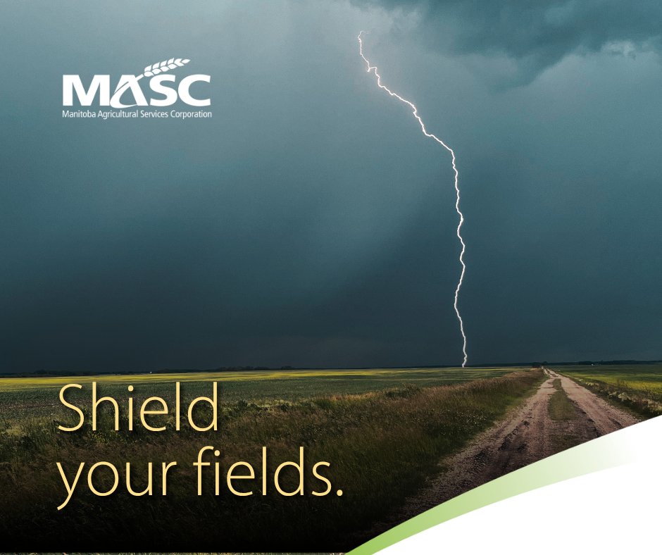MASC_MB's tweet photo. Have you checked off 'Buy Hail Insurance' on your to-do list? You really don’t want the Great White Combine harvesting your in-field investments, so sign up today and get coverage for tomorrow! See details at https://t.co/X2oP8Q7Byd. https://t.co/POyOjJCljo