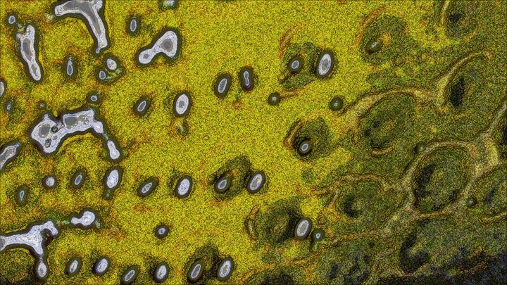 Metazoaart's tweet photo. Art of the Day! "Surface Solids". Buy at: https://t.co/wWXgAPiGMY https://t.co/WRY3ZDYjQ5