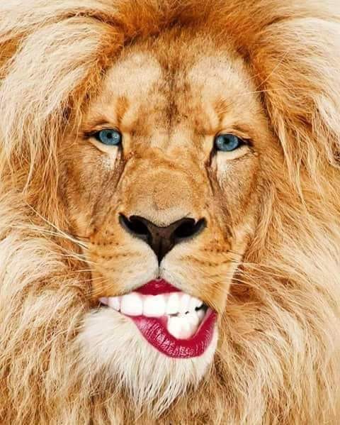 i m Ahmed tweet media