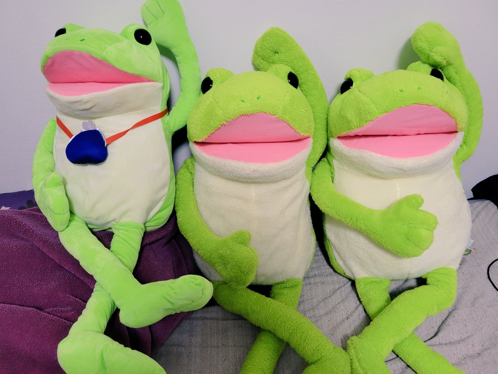 うさけろ tweet media