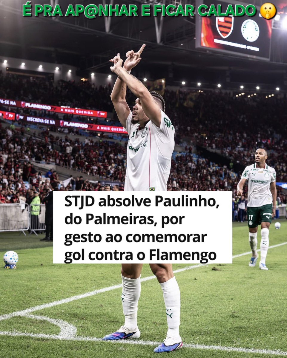 Palmeiras memes🐷💚 tweet media