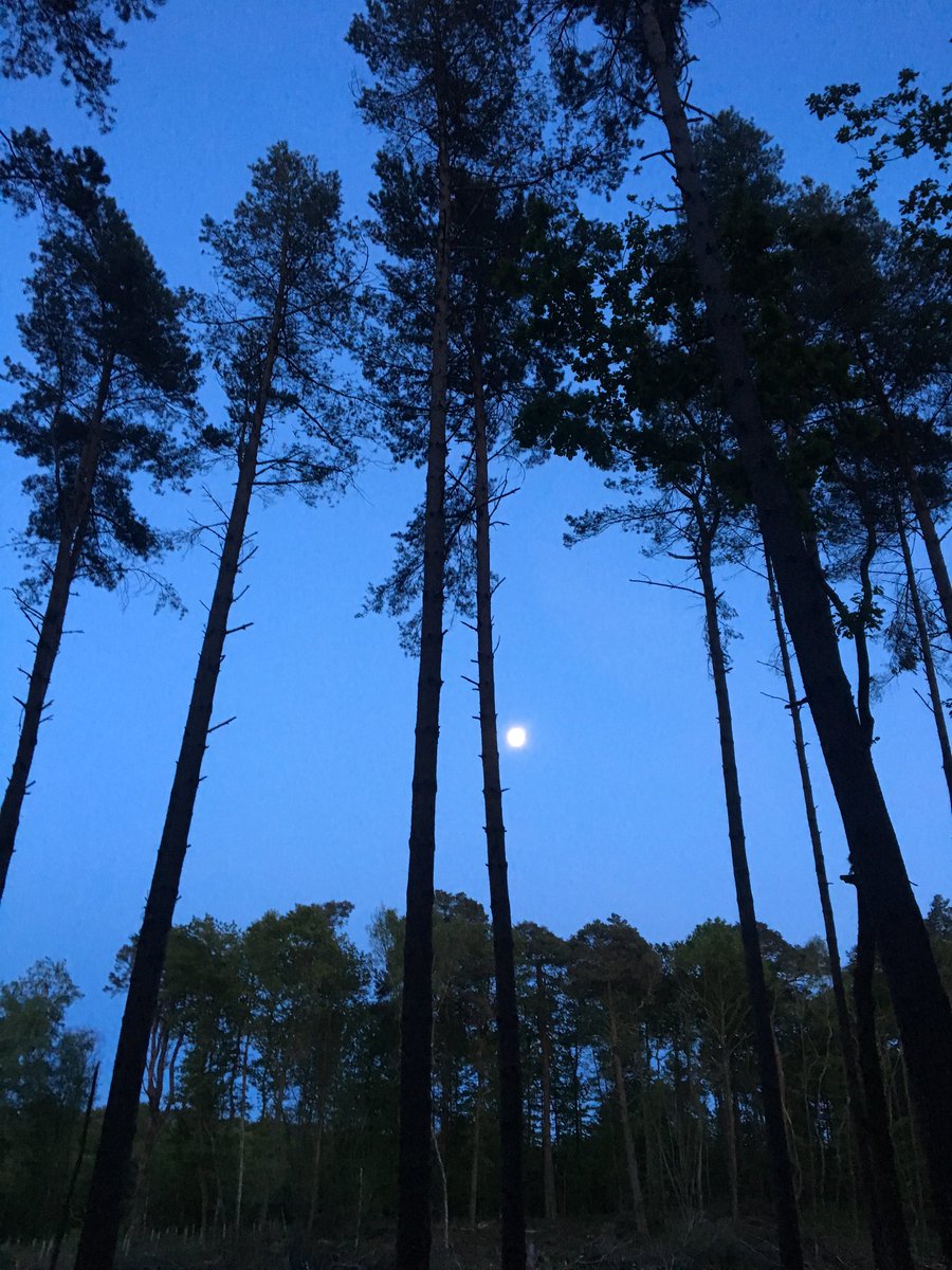 emilybakerphoto's tweet photo. Warm summer nights https://t.co/0z02zMlMxR