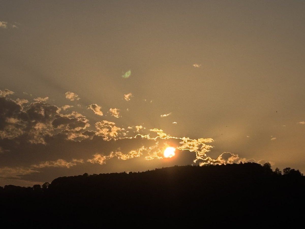 d_caseyx's tweet photo. 🌞 #Goldenhour https://t.co/5VZgPGs7XO