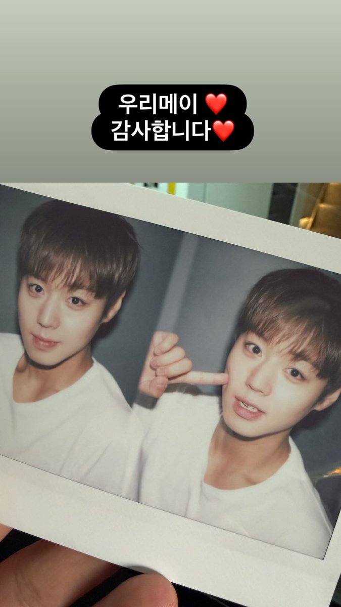 단찌 tweet media