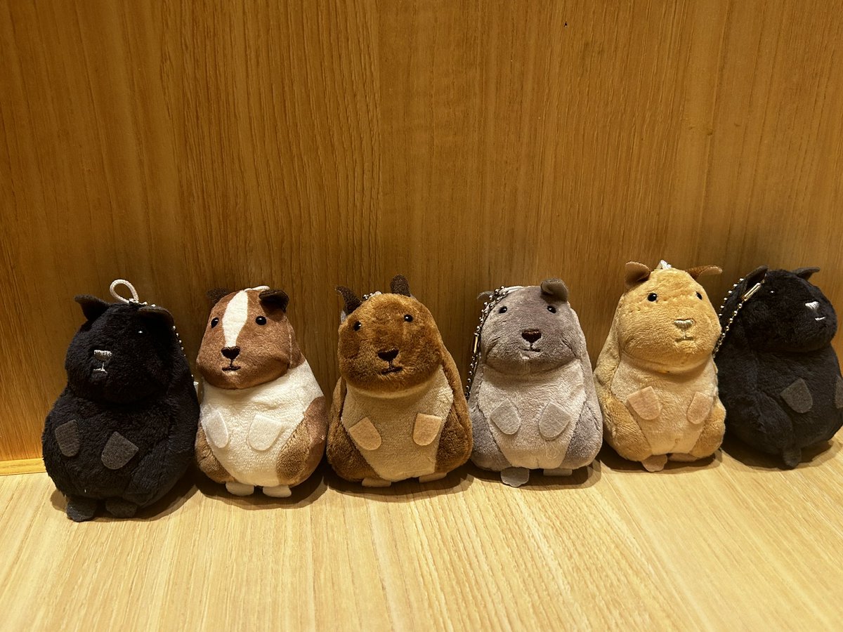 hotate_mechauma's tweet photo. へへへ…… https://t.co/FSibKQ37NT