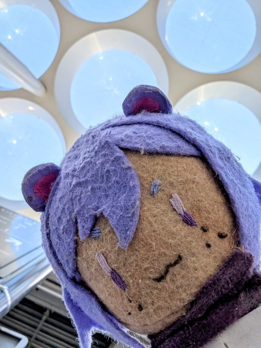 Tipanya 🐻🐱 🔜 OffKai【StarlightRevo】 tweet media