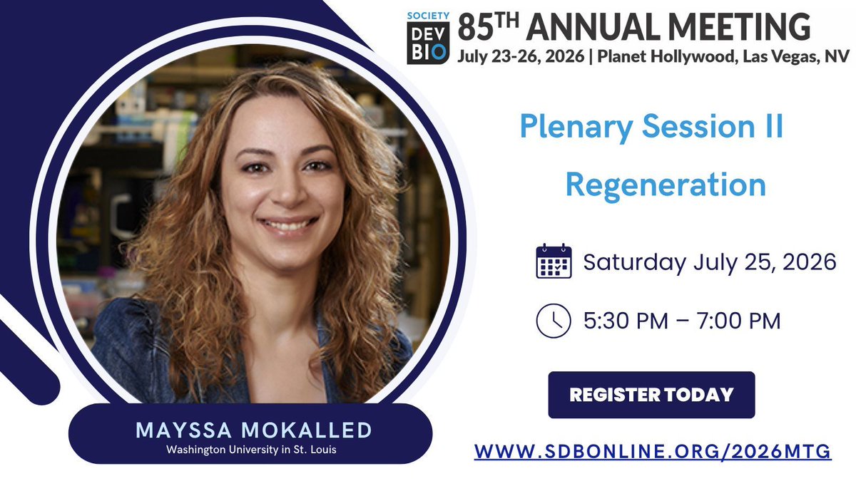 SocDevBio's tweet photo. 🧠🐟✨ Mayssa Mokalled will be joins us at #2026SDB in Las Vegas! 🎰 Her lab studies how zebrafish achieve remarkable spinal cord regeneration 🐠💫 uncovering pro-regenerative cell types and mechanisms with the goal of informing neural repair strategies in mammals. 🧬 https://t.co/DKANyVCRYZ
