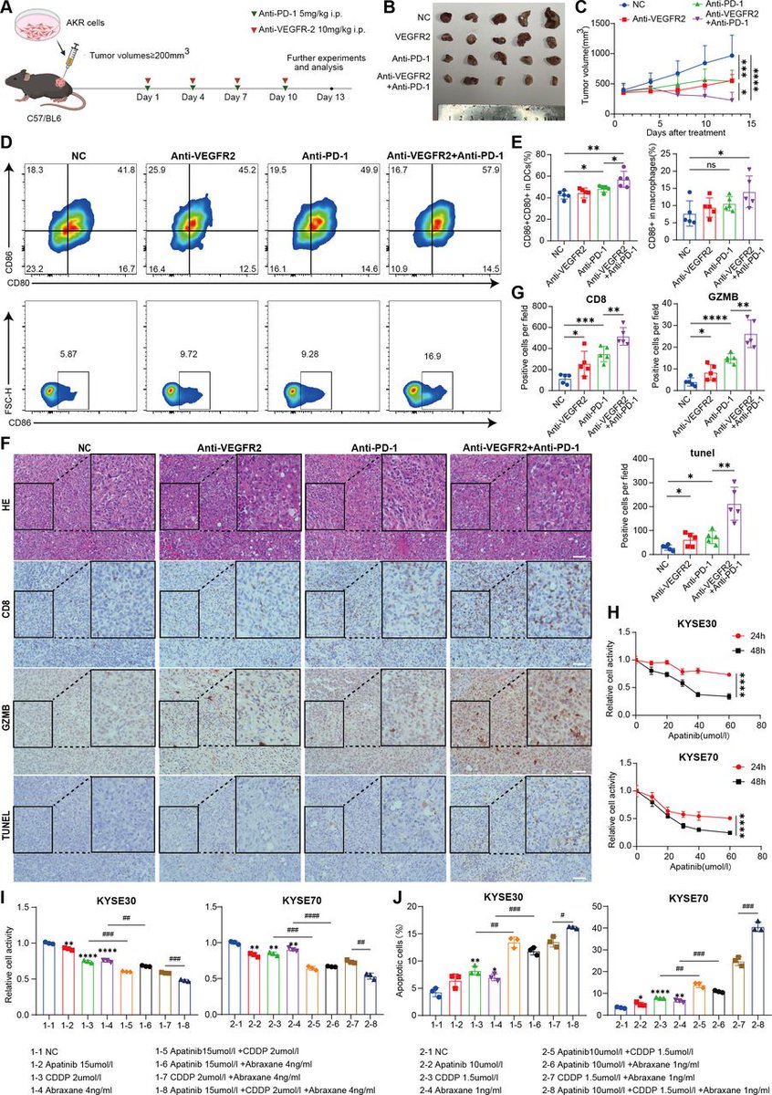 Journal for ImmunoTherapy of Cancer tweet media