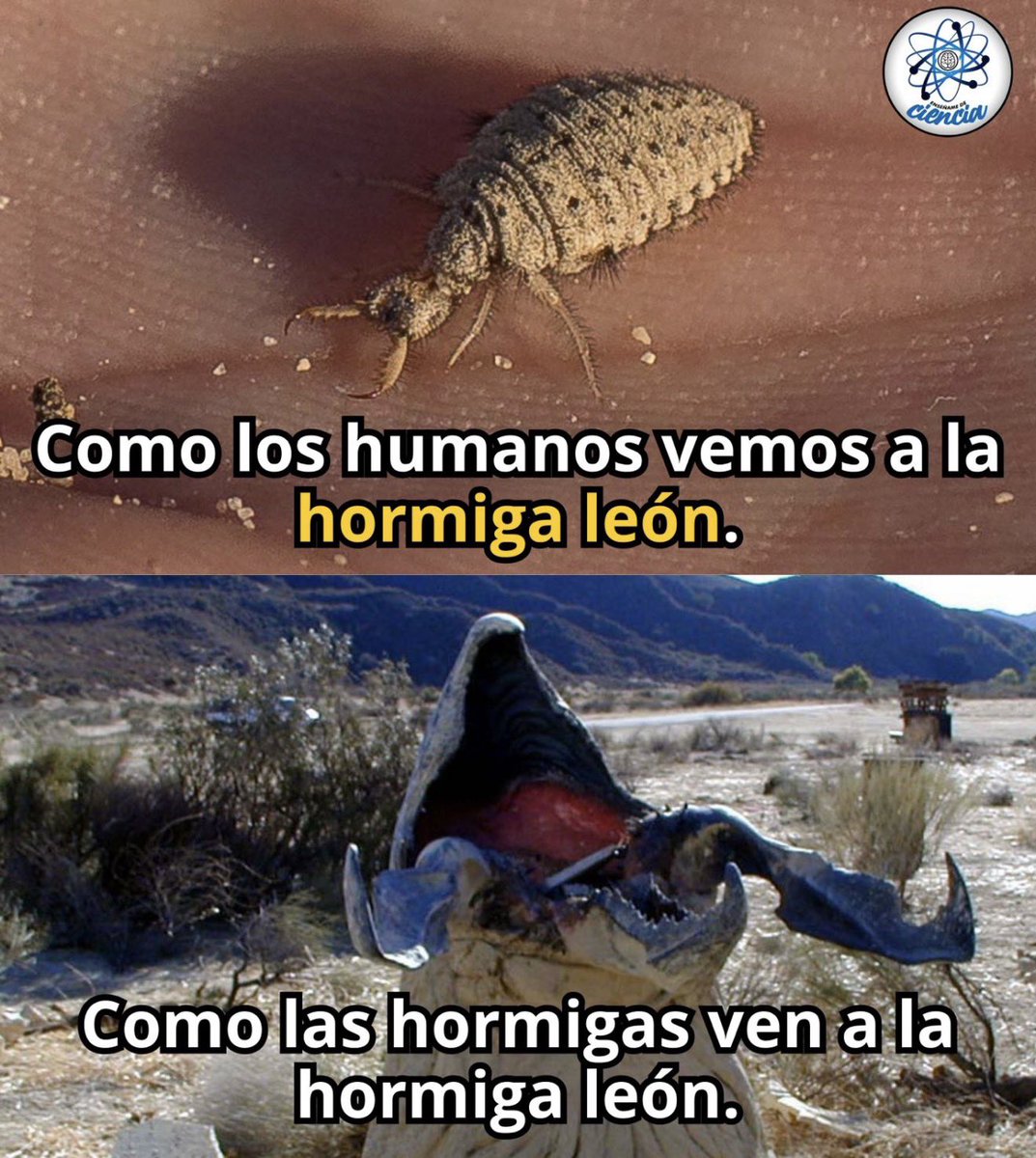 Enséñame de Ciencia tweet media