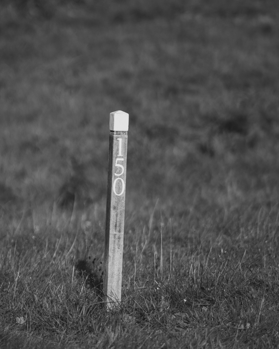 farnhamgc's tweet photo. Our heathland is stunning in its usual green and purple, but equally striking in black and white, where the finer details really shine through. https://t.co/biC2w4lU38