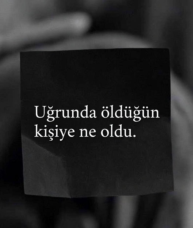Nursel tweet media